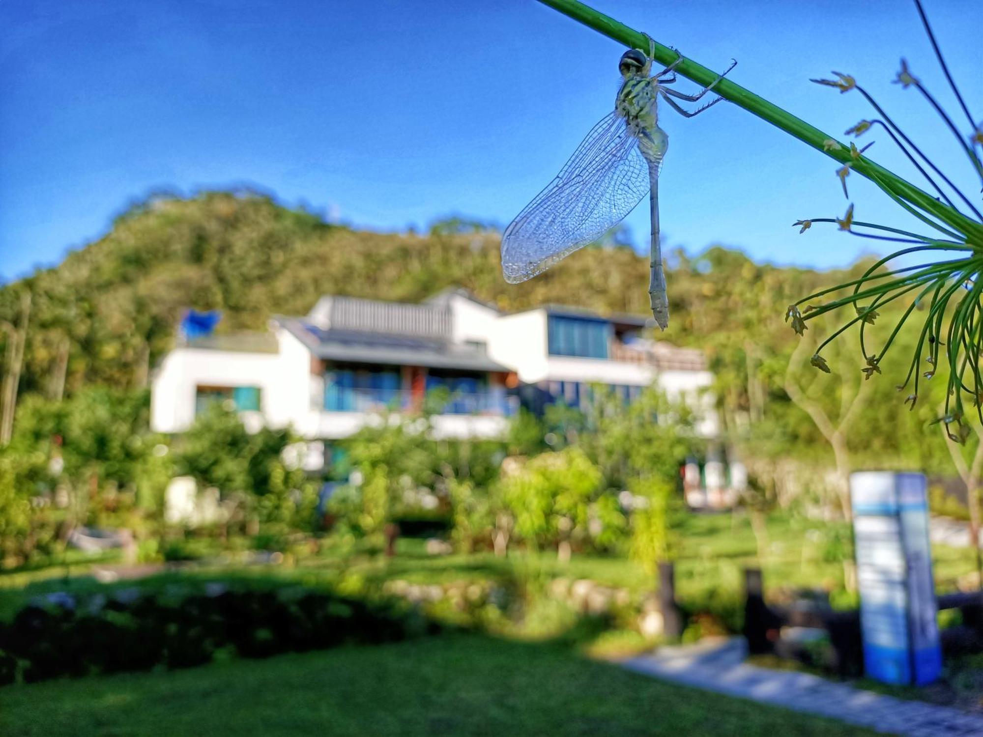 Roaming Cloud Sun Moon Lake B&B Yuchi Esterno foto